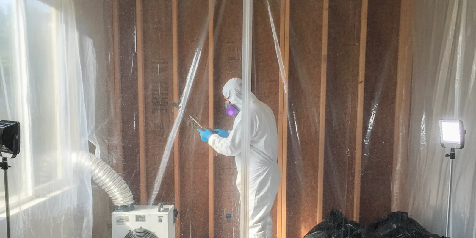 Mold Remediation
